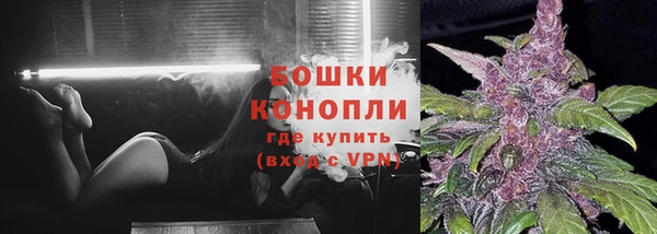 гашик Беломорск