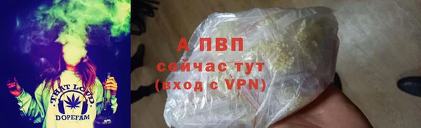 гашик Беломорск