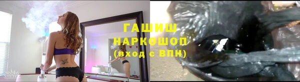 гашик Беломорск
