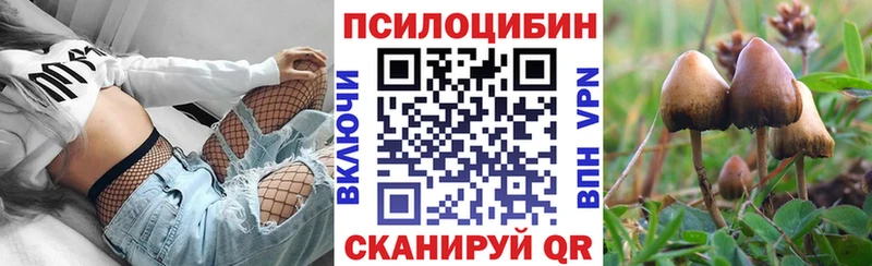 Псилоцибиновые грибы Cubensis  Болотное 
